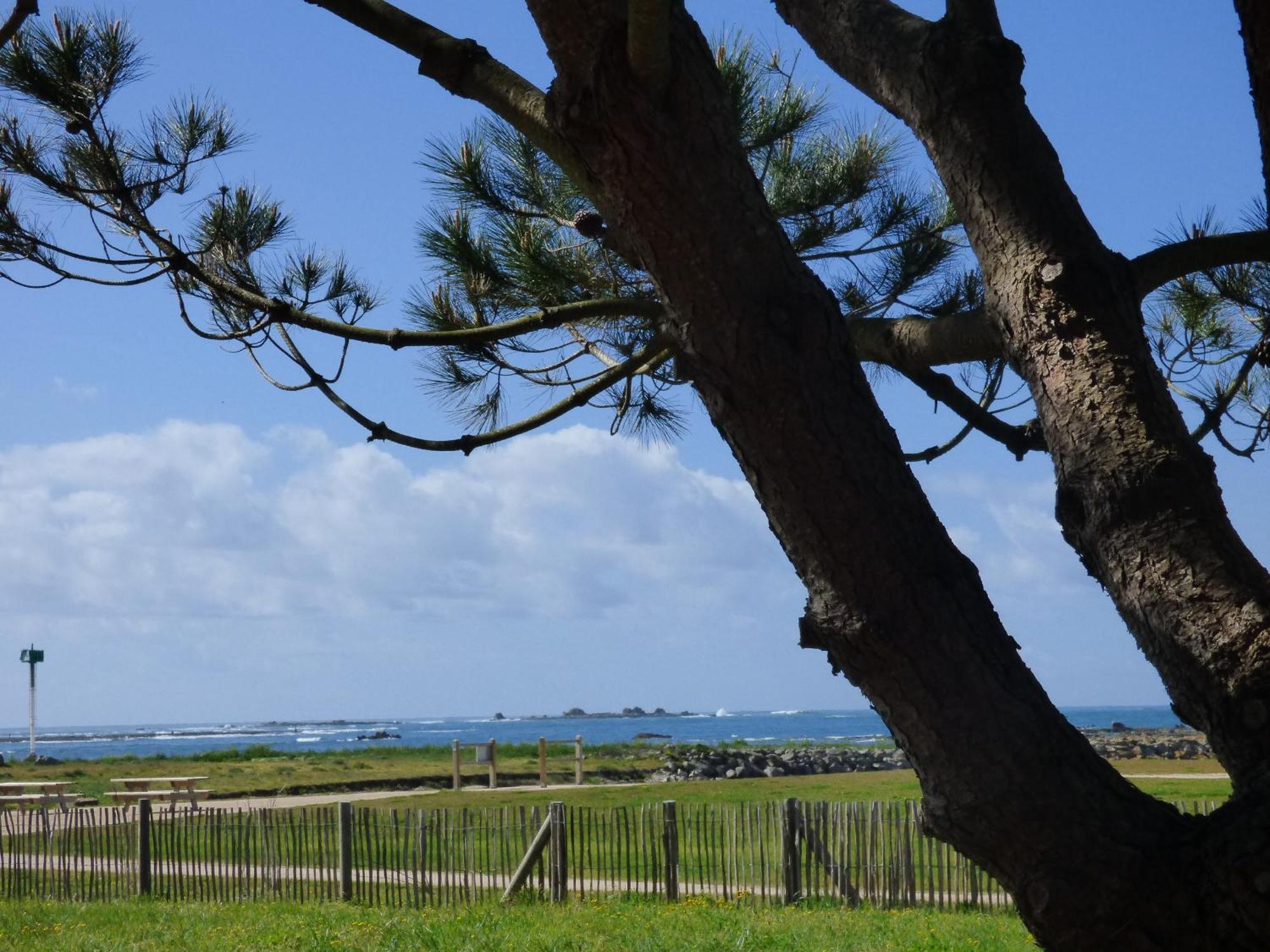 Appart-Studios Vue Mer Panoramique St Guenole Cote Mer Penmarcʼh 객실 사진